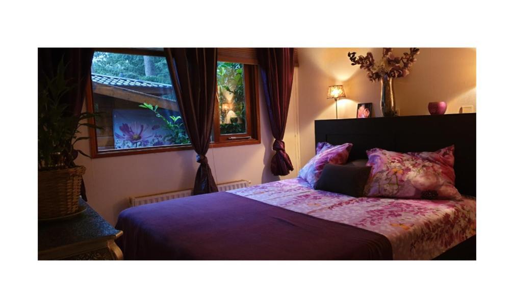 Chalet Heppie People Doornspijk المظهر الخارجي الصورة